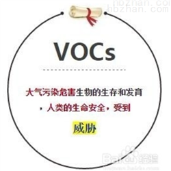 VOCS废气检测项目